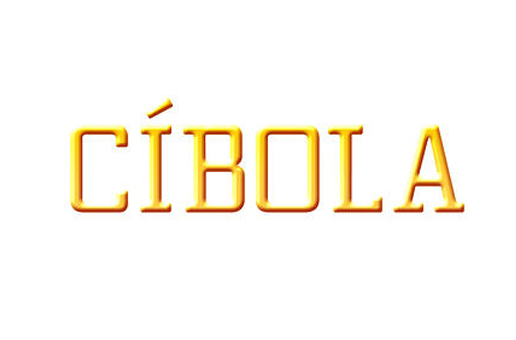 Slide image for Cibola Chicago incubator December launch